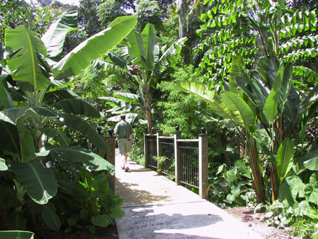leu gardens3x